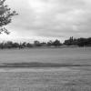A view across Normanston Park - a substantial surviving piece of the medieval South-west Common Field (sometimes found referred to as the West South Field).