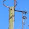 Photo: old lamp standard