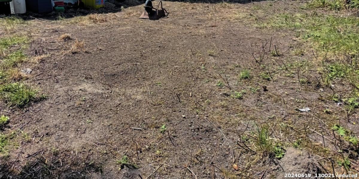 Photo of cleared land behind shed