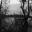 Leathes Ham - a flooded Late Medieval peat-digging
