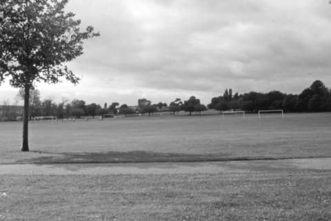 A view across Normanston Park - a substantial surviving piece of the medieval South-west Common Field (sometimes found referred to as the West South Field).
