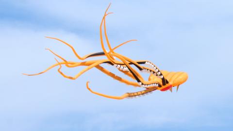  Octopus Kite