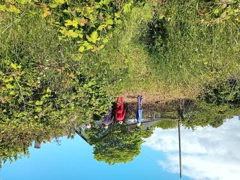  Image Hard at Work - upside down