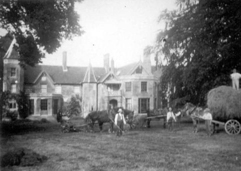 Ornamental lawns turned to haymaking