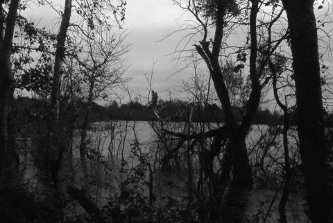 Leathes Ham - a flooded Late Medieval peat-digging