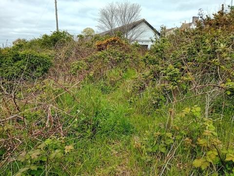 photo: site of new shed