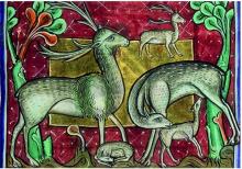 Deer CREDIT:Bodleian Library Deer CREDIT:Bodleian Library